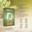 Kép 4/4 - BioCo OLIVA D3-vitamin FORTE 4000 NE lágyzselatin kapszula 60 db
