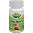 Kép 1/2 - Innovita Tőzegáfonya Forte 60 db